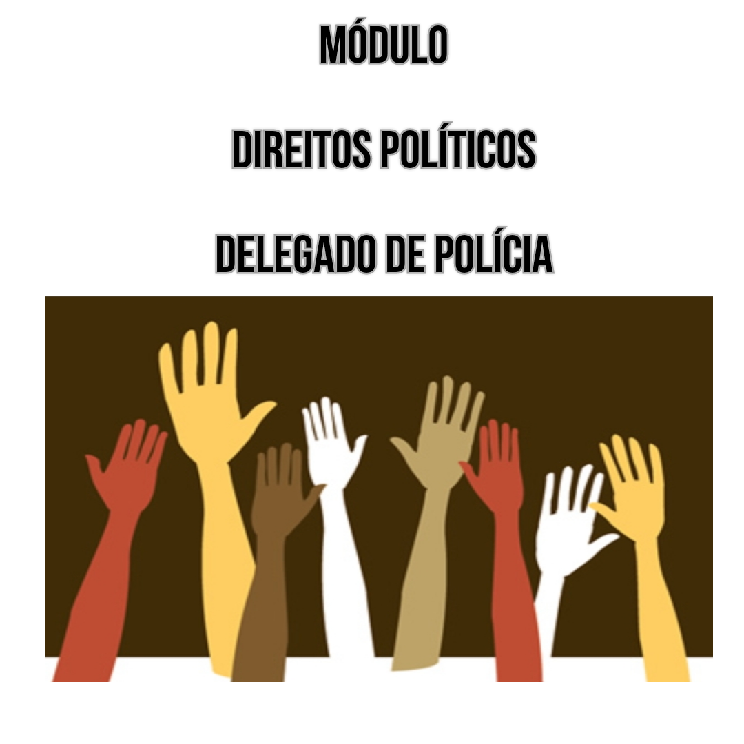 Aula - Direitos Políticos